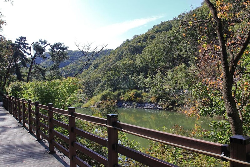 백야자연휴양림 오토캠핑장 시설 사진 12