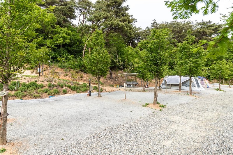 수덕 캠핑장 시설 사진 13