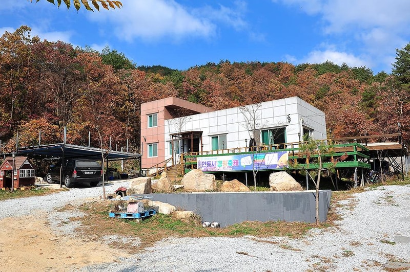 룩스글램핑앤팜 시설 사진 4