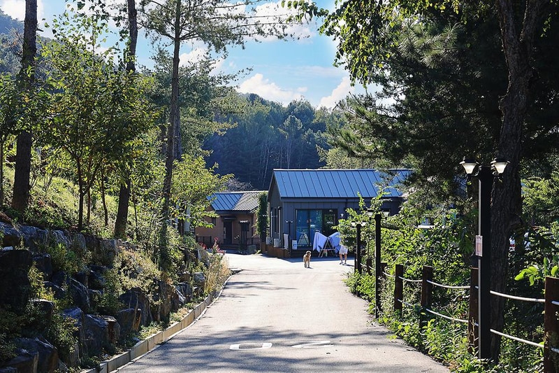 금옥골 숲속작은마을 시설 사진 17