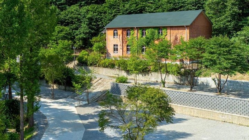 캠프 네버랜드 대표 사진