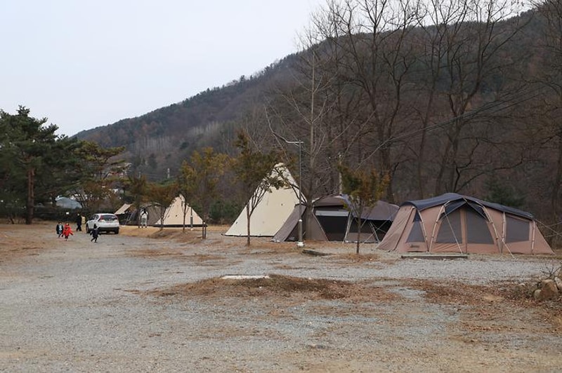 황금박쥐캠핑장 대표 사진