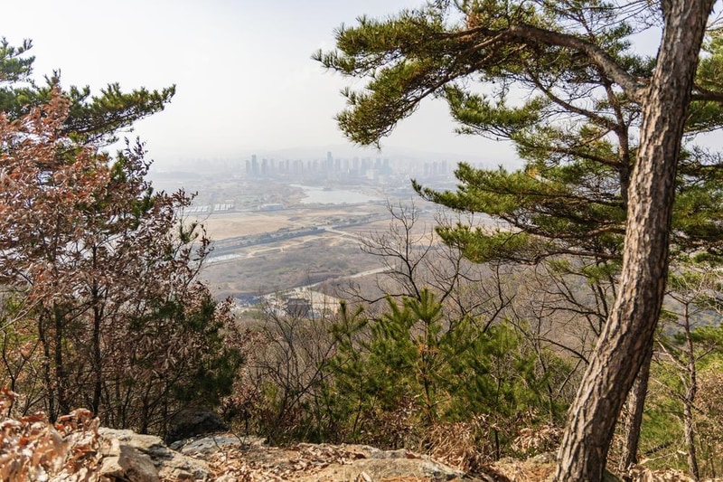 전월산 국민여가캠핑장 시설 사진 74