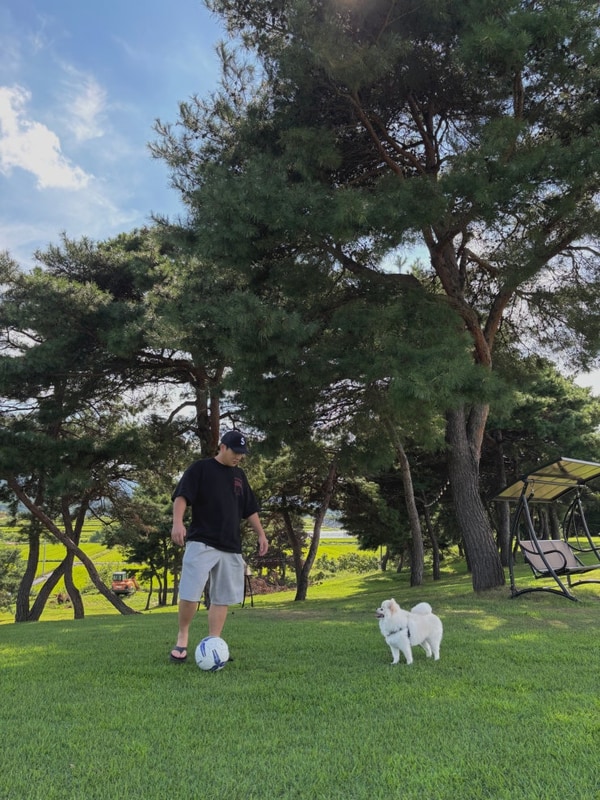 초정힐링캠핑장 대표 사진