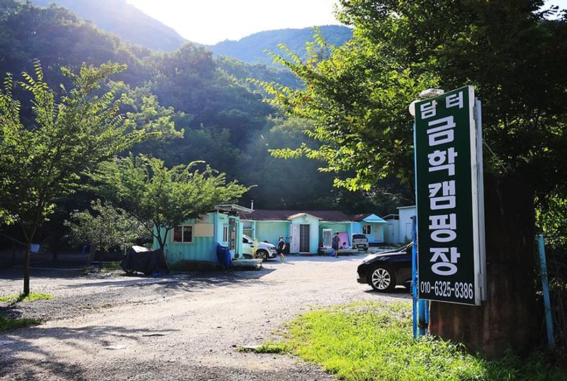 담터 금학캠핑장 대표 사진