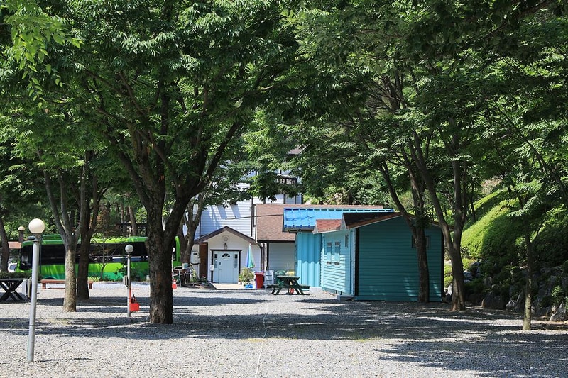 영월 솔향기 캠핑장 시설 사진 1