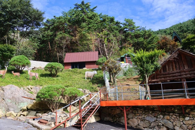 담양리사숲속마을 시설 사진 3