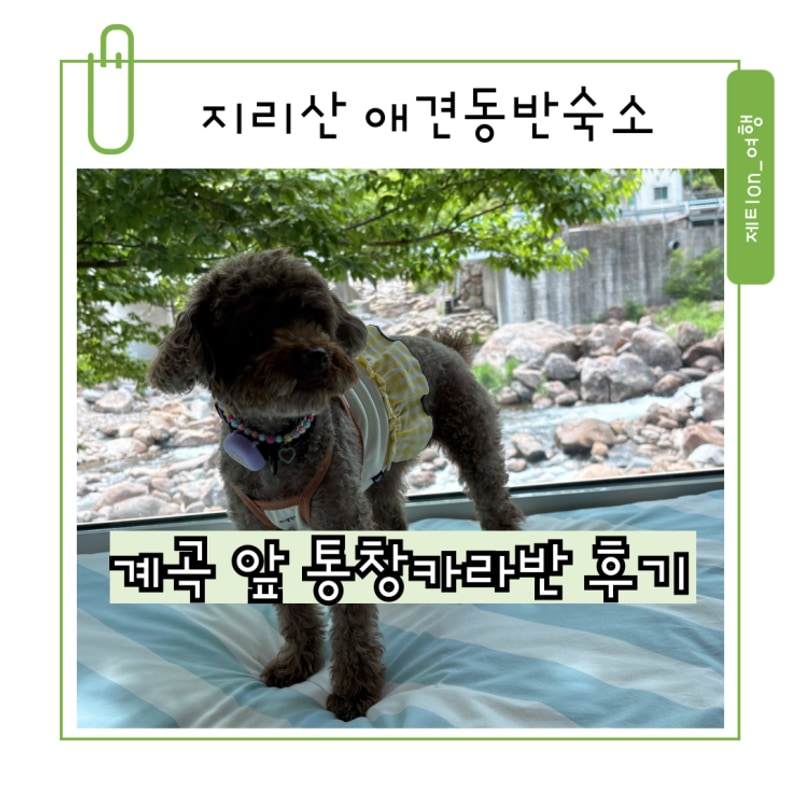 지리산 벚꽃 카라반 캠핑장