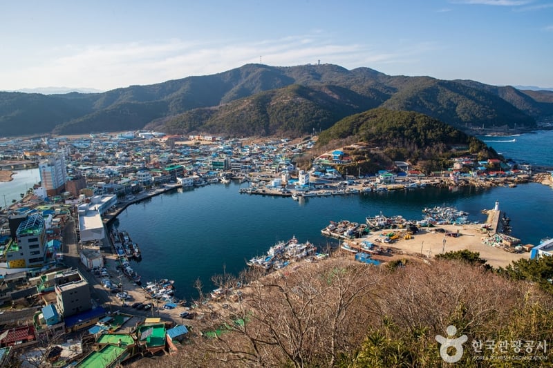 축산항
