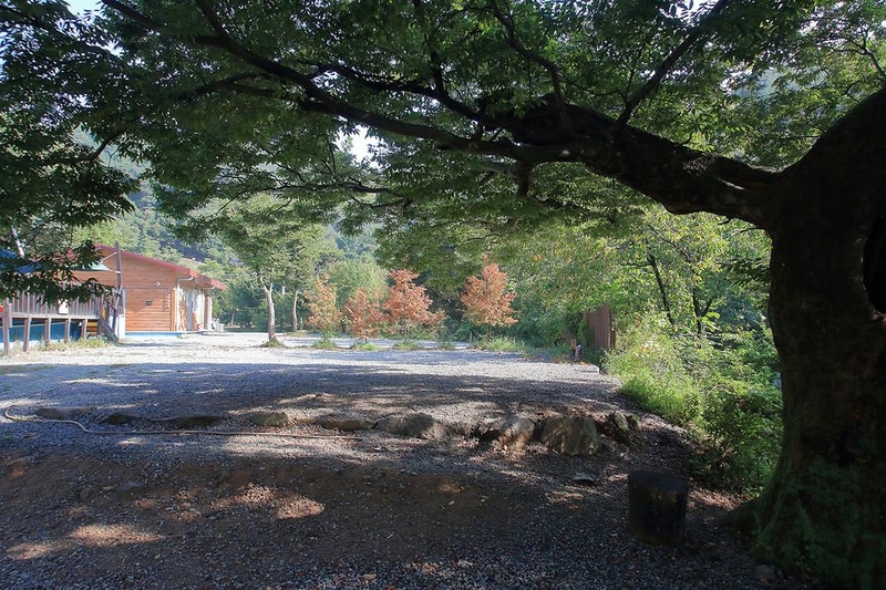 예산 느티나무 캠핑장 시설 사진 8