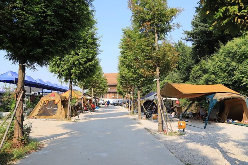 강화도산들애농원캠핑수영장 대표 사진