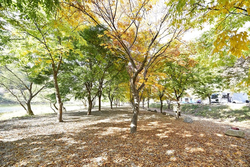 은빛물결캠핑장 시설 사진 12