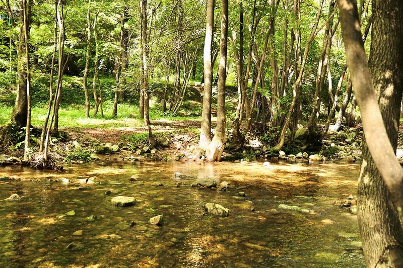 계방산 오토캠핑장 시설 사진 4