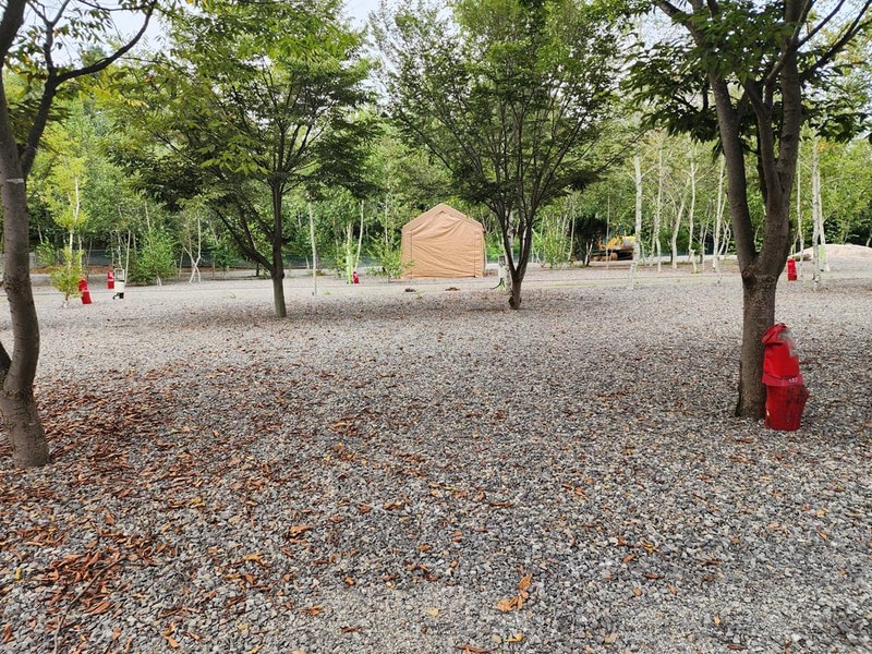 나무와 쉬리 시설 사진 11