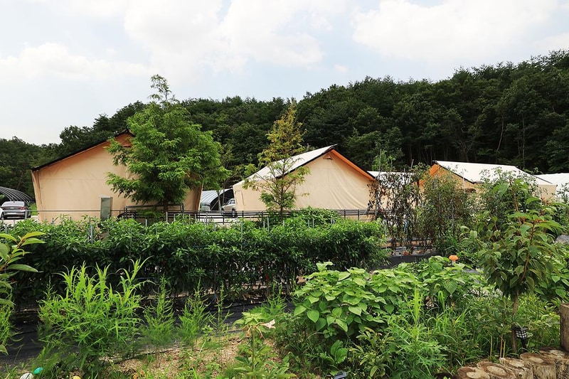 고성 탑 글램핑 농원 시설 사진 21