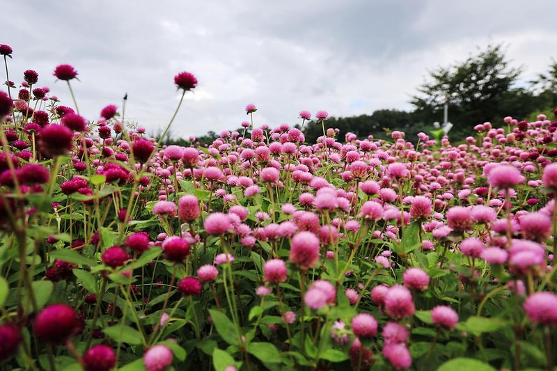 이천농업테마공원 국민여가캠핑장 시설 사진 15