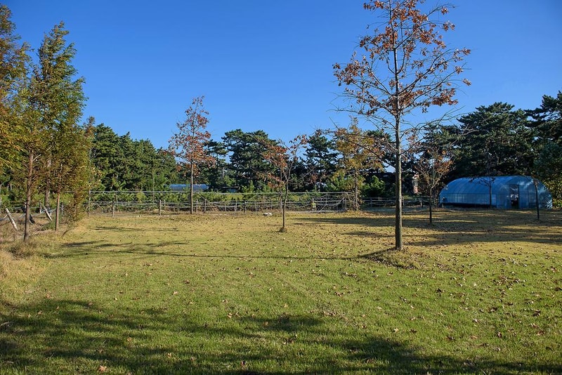 별헤는 밤 시설 사진 10