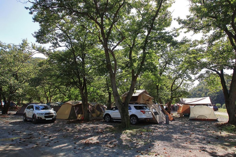 초평밤나무 시설 사진 3