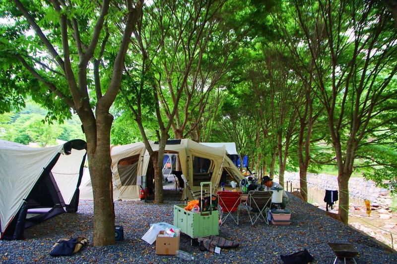 법흥계곡캠핑오늘 시설 사진 14