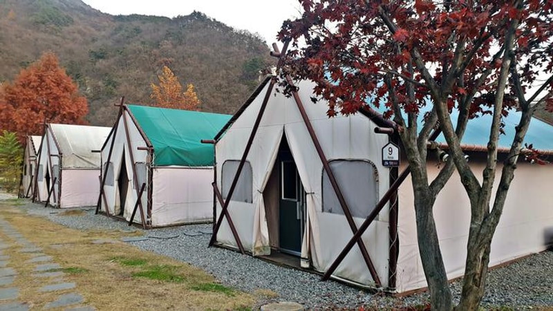 팔봉글램핑 대표 사진