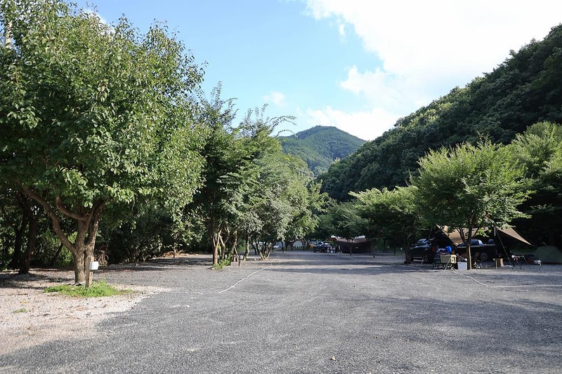 담터 금학캠핑장 시설 사진 15