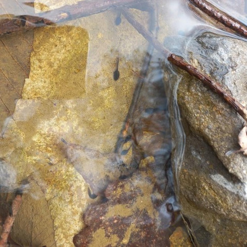 STX오토캠핑장 시설 사진 5