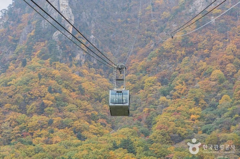 설악산 케이블카
