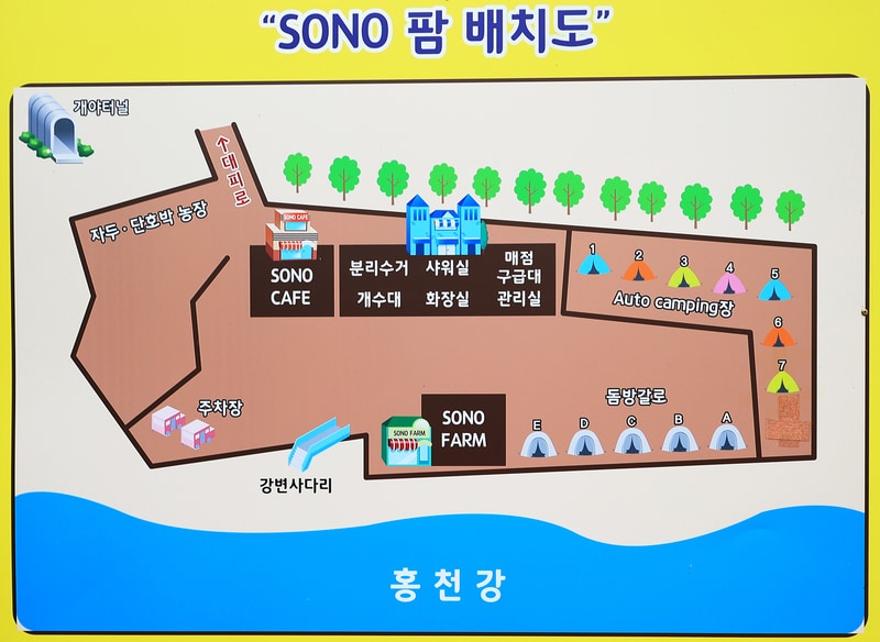 소노팜 배치도 1