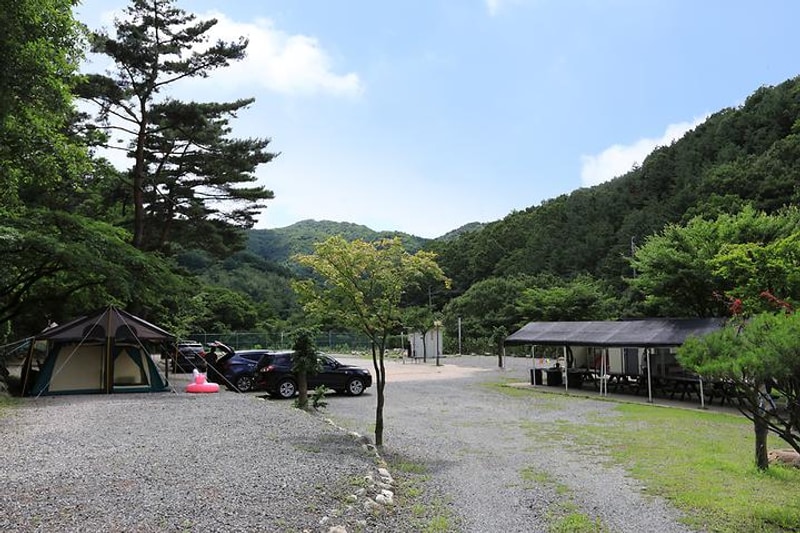 가창농원 야영장 대표 사진