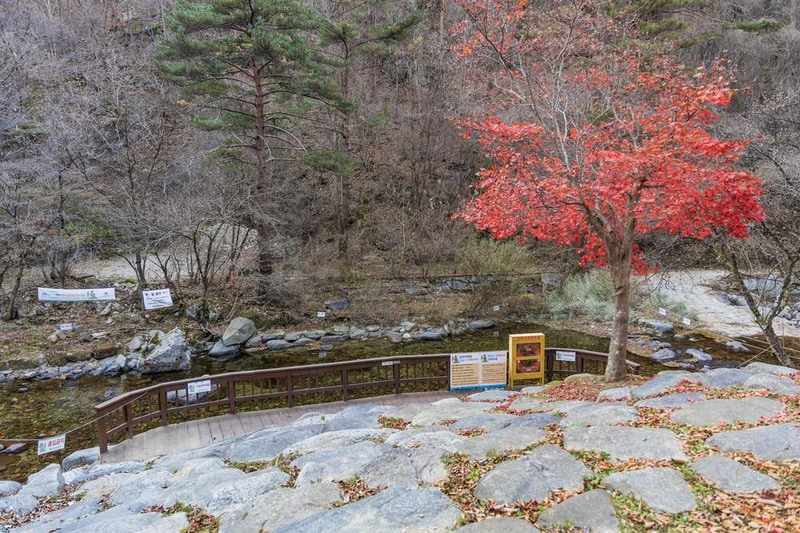 소백산국립공원 남천야영장 시설 사진 48