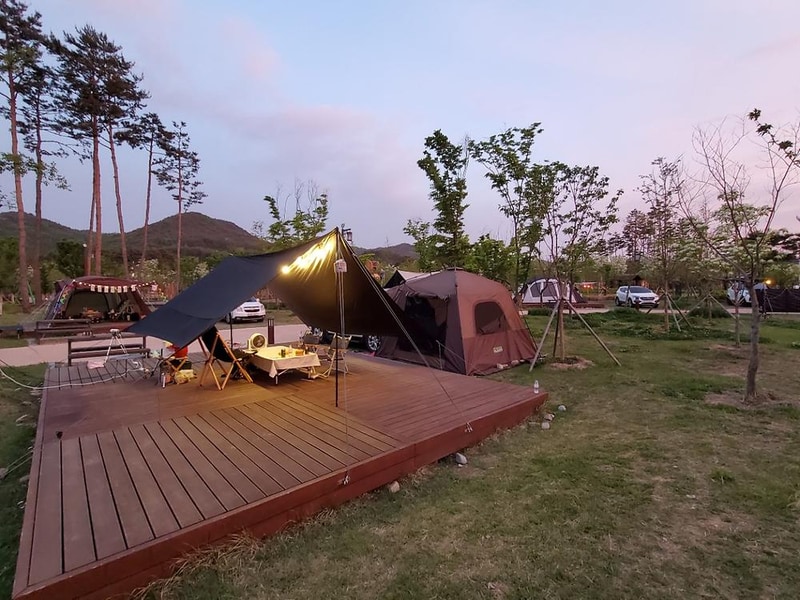 삼강나루캠핑장 시설 사진 13