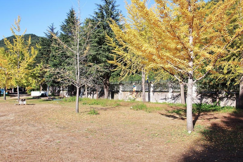 룰루랄라 체험 캠핑장 시설 사진 5