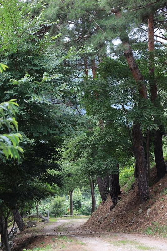 폭포 캠핑 야영장 시설 사진 3