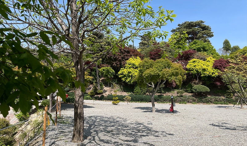 파이브이모션관광농원 시설 사진 16