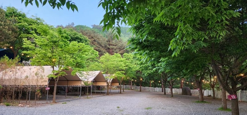 요기는캠핑장 시설 사진 21