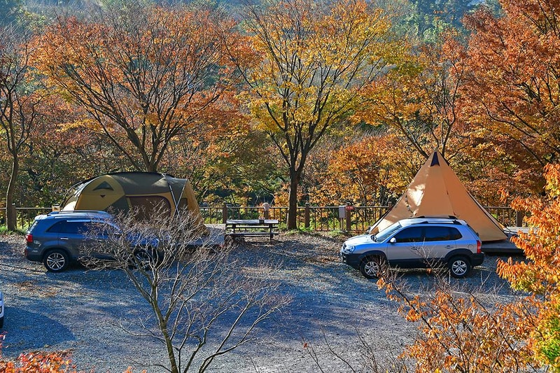 흑석산 자연휴양림 시설 사진 7