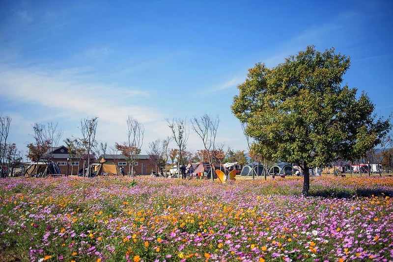 마루아라힐링캠프 시설 사진 10