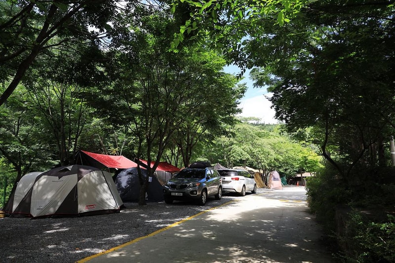 맑은물소리캠핑장 시설 사진 28