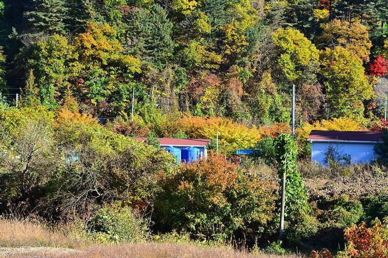 가평썬 캠핑 대표 사진