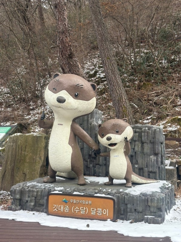캠핑기록) 도원야영장 사이트C2