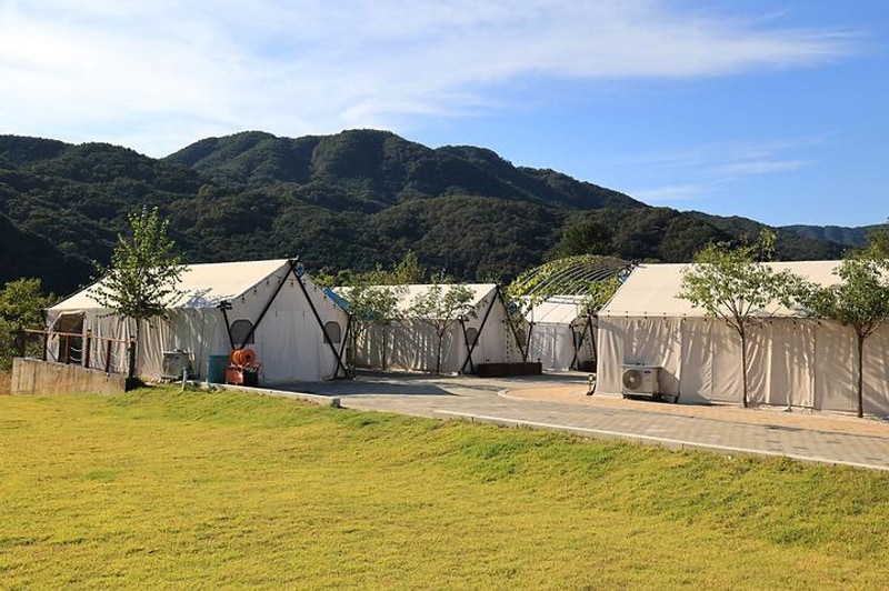 리버위드 글램핑 대표 사진
