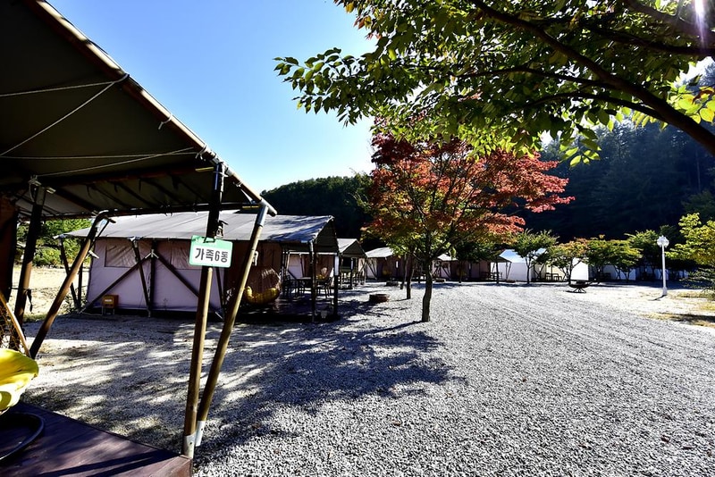 플로렌스 글램핑 & 캠핑 시설 사진 20