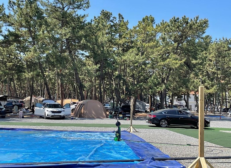 몽산포감성캠핑장 시설 사진 5