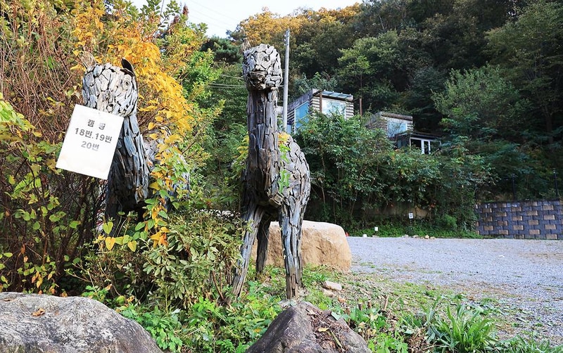 펫밀리애견파크타운 시설 사진 6