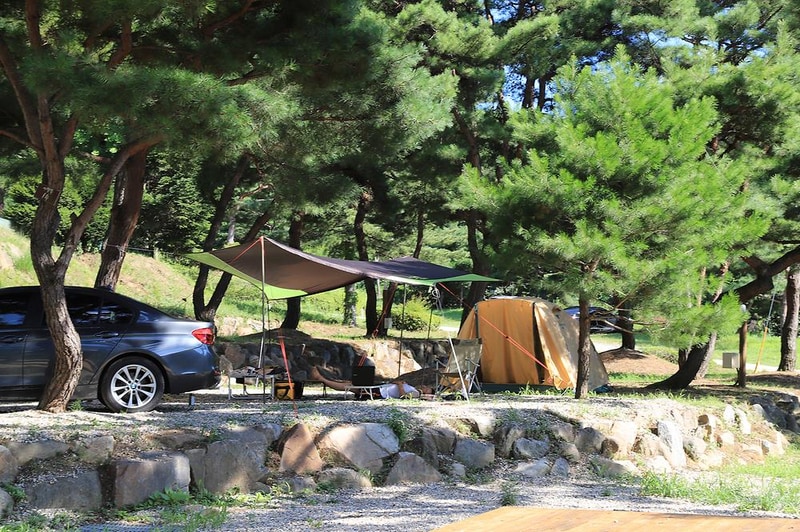 숲속의야영장 시설 사진 28