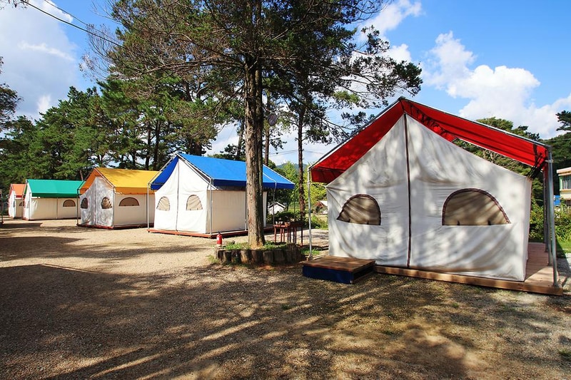 숲들내캠핑장 시설 사진 4