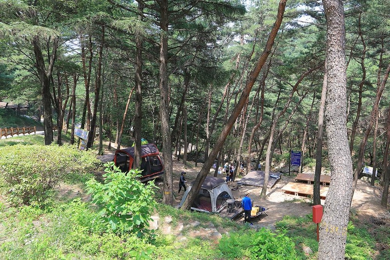 성주봉 자연휴양림 시설 사진 22