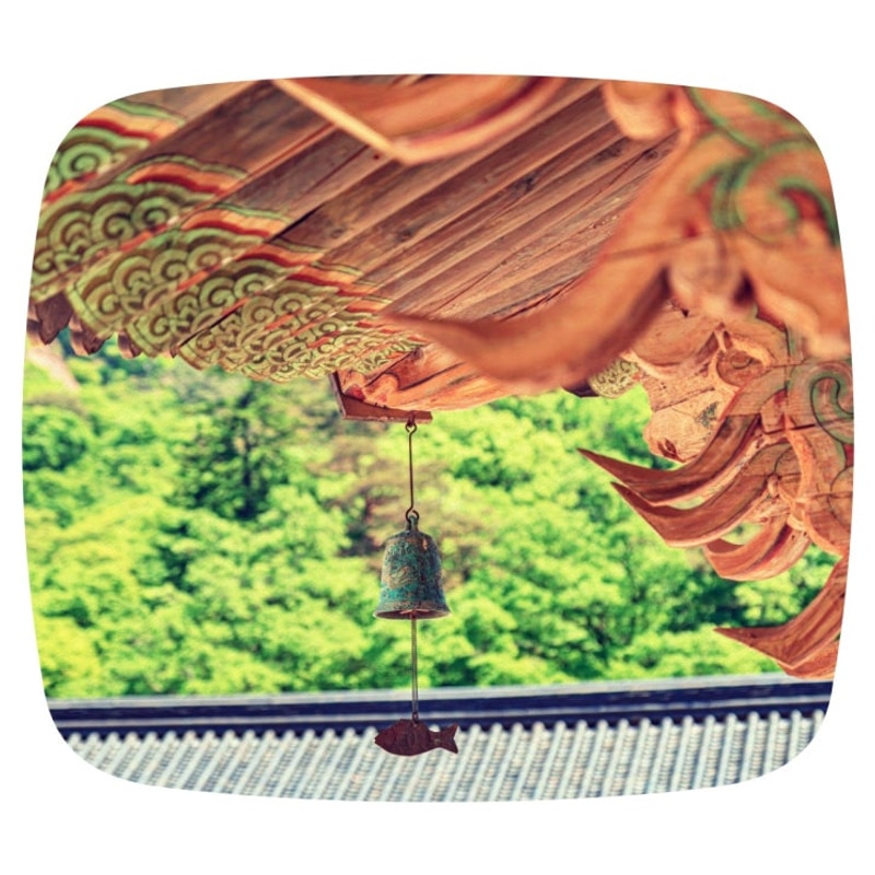 가평카라반캠핑농원 대표 사진