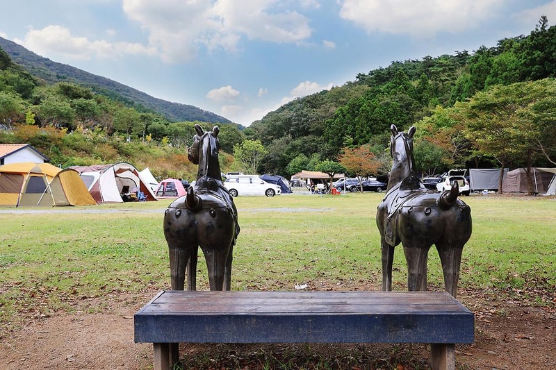 반가운캠핑장 시설 사진 6