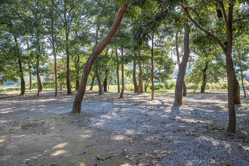 숲속의하모니 시설 사진 9